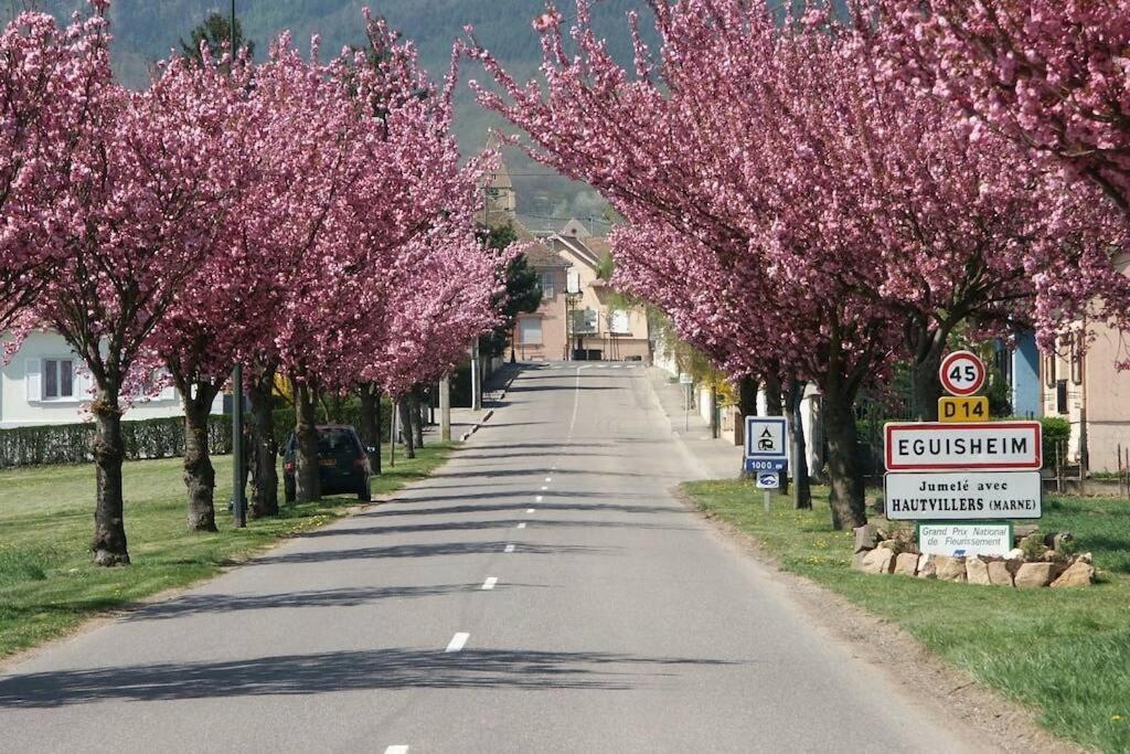 Gite A Eguisheim Proche De Colmar Et Kaysergberg. Kültér fotó