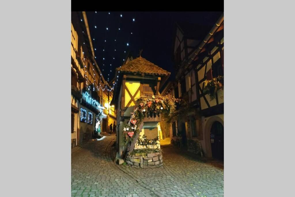 Gite A Eguisheim Proche De Colmar Et Kaysergberg. Kültér fotó