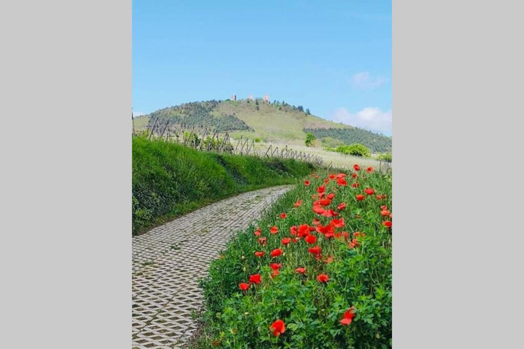 Gite A Eguisheim Proche De Colmar Et Kaysergberg. Kültér fotó
