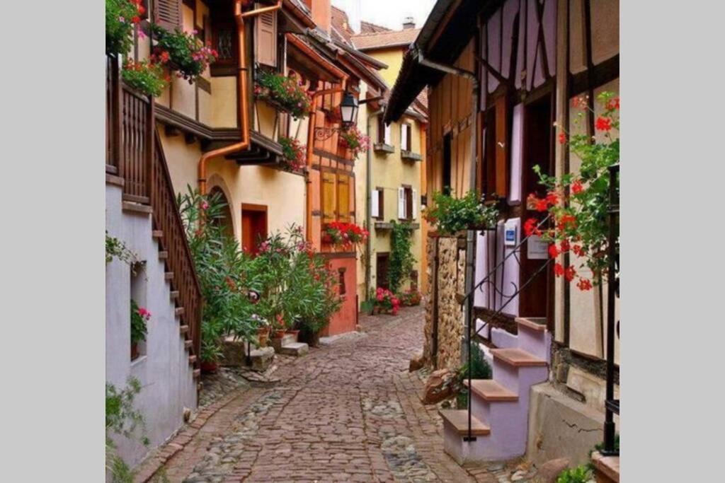Gite A Eguisheim Proche De Colmar Et Kaysergberg. Kültér fotó