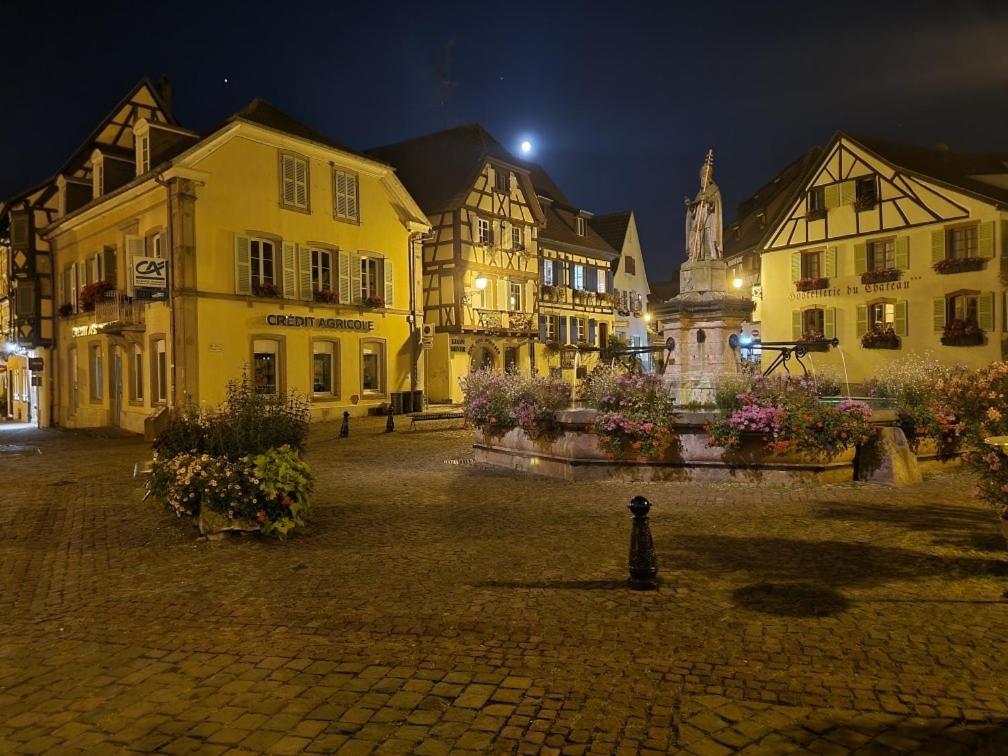 Gite A Eguisheim Proche De Colmar Et Kaysergberg. Kültér fotó